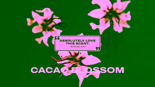 Juicy Couture JC JUST MOI CAMPAIGN 15 Second Ultra CTA 16x9 Ad Commercial Brand Imagery Photoshoot 0