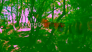 OKU JAPAN Introducing Kyushus Hidden History Selfguided Walk and Explore landscape Ad Commercial Brand Imagery Photoshoot 1