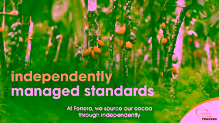 Ferrero Ferrero our commitment to responsibly sourced cocoa Ad Commercial Brand Imagery Photoshoot 0