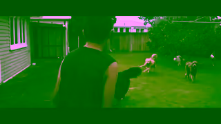 ANZ Dog Daycare Ad Commercial Brand Imagery Photoshoot 2