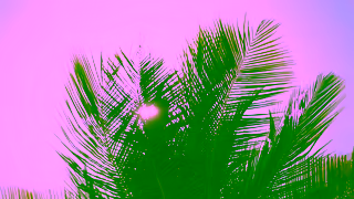 Visit Aruba The Aruba Effect Feel Everything Ad Commercial Brand Imagery Photoshoot 0