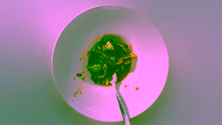 Discover Vail TOV Moments 15sec DinnerNightclub 16x9 HD WebMix H264 TrueView Ad Commercial Brand Imagery Photoshoot 0