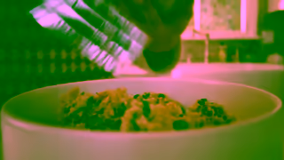 The Farmer's Dog ItsTime 15 FreshFood 16x9 Ad Commercial Brand Imagery Photoshoot 1