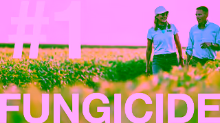 BASF Theres Only One Revytek Fungicide Ad Commercial Brand Imagery Photoshoot 2