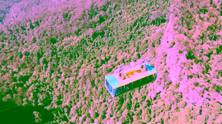 Scenic World Katoomba Scenic Skyway Scenic World Katoomba Ad Commercial Brand Imagery Photoshoot 2