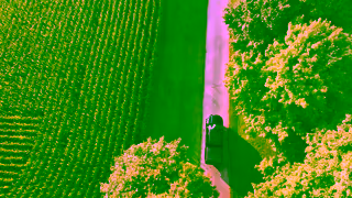 Egg Farmers of Ontario Egg Farmers of Ontario Ad Commercial Brand Imagery Photoshoot 0