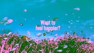 Adrenaline Make adventure happen with Adrenaline this Christmas Ad Commercial Brand Imagery Photoshoot 0