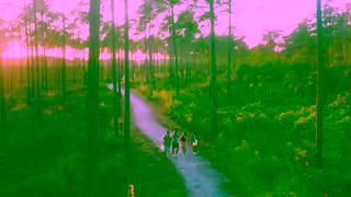 Visit Florida TRI Video Social YouTube Off The Beaten Path Ad Commercial Brand Imagery Photoshoot 1