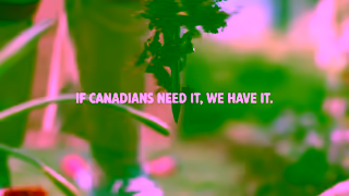 Canadian Tire Canadian Tire Yardworks BatteryPowered Weeder Ad Commercial Brand Imagery Photoshoot 2