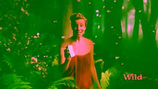 Wild Cosmetics Wild Deodorant Removing plastic from your bathroom Ad Commercial Brand Imagery Photoshoot 1