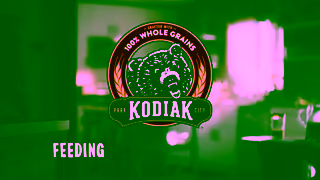 Kodiak Its wild what you Kodiak brkfst can do Ad Commercial Brand Imagery Photoshoot 2