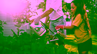 Scotts Scotts Organic Range Certified for Organic Gardens Ad Commercial Brand Imagery Photoshoot 0