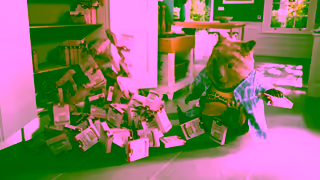 Comparethemarket Personalised deals delivered AutoSergei Compare the Market Ad Commercial Brand Imagery Photoshoot 2