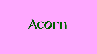 AcornTV See More Brilliant on Acorn TV Ad Commercial Brand Imagery Photoshoot 2