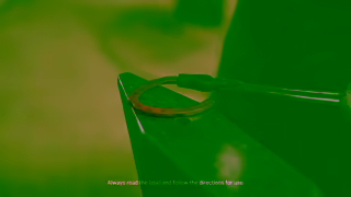 Chemist Warehouse Epijoint Now Available At Chemist Warehouse Ad Commercial Brand Imagery Photoshoot 1