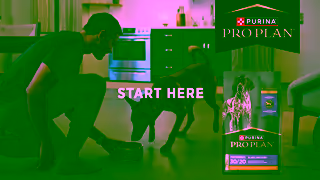 Purina Your Active Dogs Lifestyle Starts with His Dog Food Get Started Ad Commercial Brand Imagery Photoshoot 2