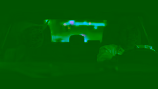 MGM Studios WILD 30 Only in Theaters April 25th Ad Commercial Brand Imagery Photoshoot 2