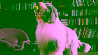 Dulux Dulux WashWear Ad Commercial Brand Imagery Photoshoot 2