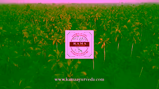 KAMA Ayurveda Discover The Power of Glow KAMA AYURVEDA Ad Commercial Brand Imagery Photoshoot 2