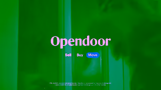 Opendoor Real Estate Confessions Debbie Ad Commercial Brand Imagery Photoshoot 2