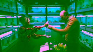 H&R Block More For Sure 2023 TVC 15 second aquarium version Ad Commercial Brand Imagery Photoshoot 0
