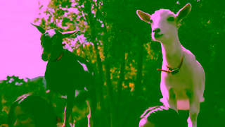 Amazon See how Amazon is empowering small businesses Ad Commercial Brand Imagery Photoshoot 2