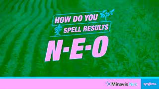 Syngenta How Do You Spell Yield NEO Ad Commercial Brand Imagery Photoshoot 1