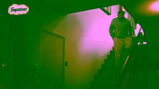 Temptations Temptations Creamy Spoons Teenage Cat 15s Ad Commercial Brand Imagery Photoshoot 0