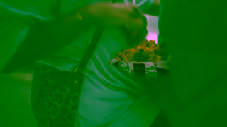 KFC KFCs 10 for 10 Tenders Ad Commercial Brand Imagery Photoshoot 0