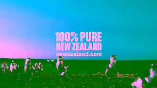 Tourism New Zealand If You Seek Stories Winter Edition Wildlife Ad Commercial Brand Imagery Photoshoot 2