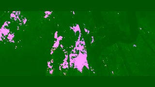 20th Century Studios Prdateur Badlands En salle seulement ce vendredi Ad Commercial Brand Imagery Photoshoot 0