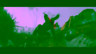 20th Century Studios Prdateur Badlands En salle seulement ce vendredi Ad Commercial Brand Imagery Photoshoot 1