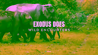 Exodus Travels EXODUS DOES Indian Delights Ad Commercial Brand Imagery Photoshoot 1