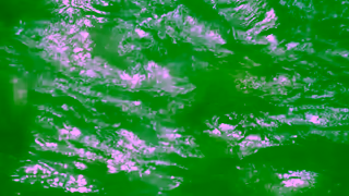 Visit Portugal Happy New Flavours in 2025 Ad Commercial Brand Imagery Photoshoot 0