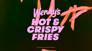 Wendy's Wendys Hot and Crispy Fries Ad Commercial Brand Imagery Photoshoot 2