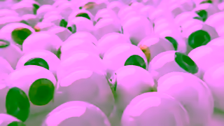 Bell Direct PMAX 15 B Horizontal Ad Commercial Brand Imagery Photoshoot 0