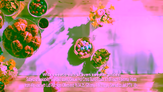 Lidl The Easter of Your Dreams Starts Here Easter Treats Ad Commercial Brand Imagery Photoshoot 0