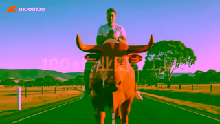 Moomoo AUCharting Tools16x92511101 Ad Commercial Brand Imagery Photoshoot 0