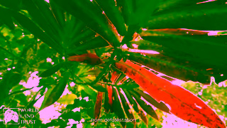 Kit & Kin Kit Kin Protecting your world naturally Ad Commercial Brand Imagery Photoshoot 2