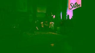 Sheba All they want is Sheba Ad Commercial Brand Imagery Photoshoot 0