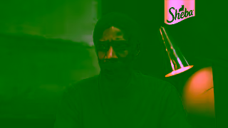 Sheba All they want is Sheba Ad Commercial Brand Imagery Photoshoot 1