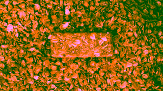 Nature Valley Crunchy By Nature Ad Commercial Brand Imagery Photoshoot 0