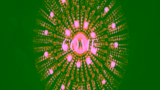 Visit Kingston Sights stories and city secrets in Kingston Plan your fall getaway Ad Commercial Brand Imagery Photoshoot 2