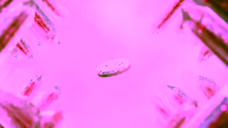 Hersheyland Chandelier HUIB0182000H 15s Ad Commercial Brand Imagery Photoshoot 1