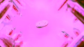 Hersheyland Chandelier HUIB0182000H 15s Ad Commercial Brand Imagery Photoshoot 2