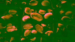 Whittaker's Whittakers AU Peanut Slab LTC Ad Commercial Brand Imagery Photoshoot 1