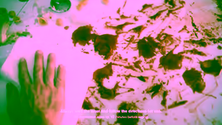 Pine O Cleen Pine O Cleen Its not Clean Unless Its Pine O Cleen Ad Commercial Brand Imagery Photoshoot 1