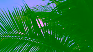 The Bahamas Its Not One Island Its a Lifetime of Them Rum Cay San Salvador Cat Island Inagua Ad Commercial Brand Imagery Photoshoot 1