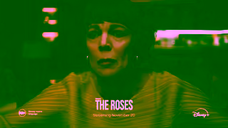 Disney Plus Stream Big on Disney Ad Commercial Brand Imagery Photoshoot 1