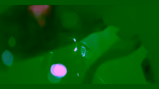 ZEISS ZEISS Nano Primes True Cinema For All Ad Commercial Brand Imagery Photoshoot 1